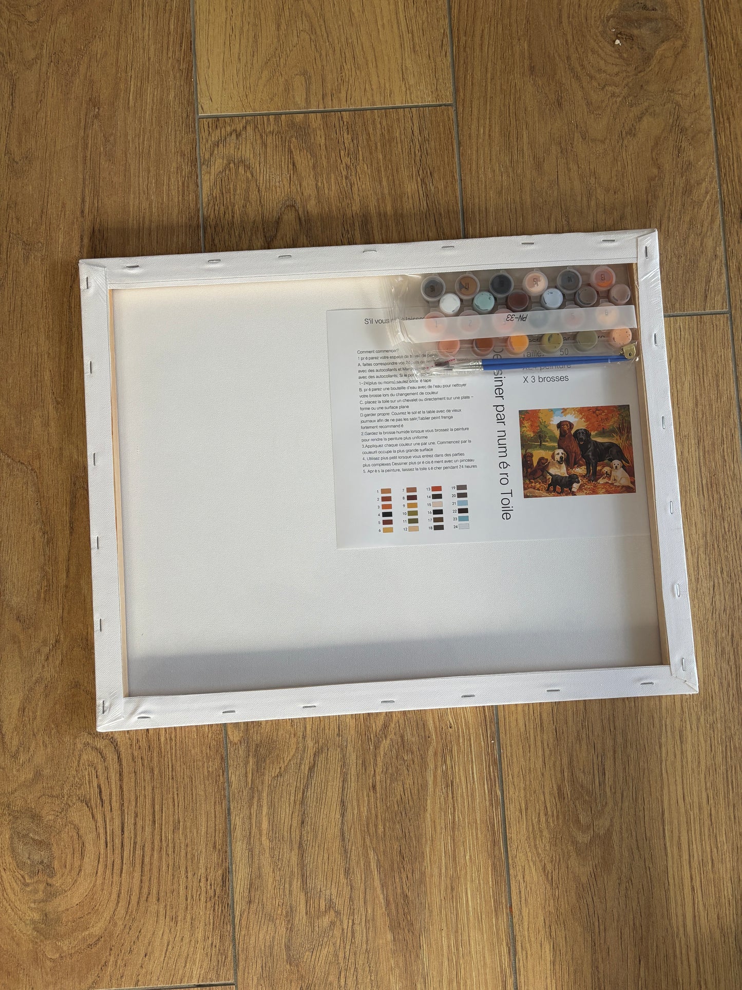 Malset nach Zahlen – Hunde im Herbstwald – Komplettset mit Leinwand, Farben &amp; Pinseln